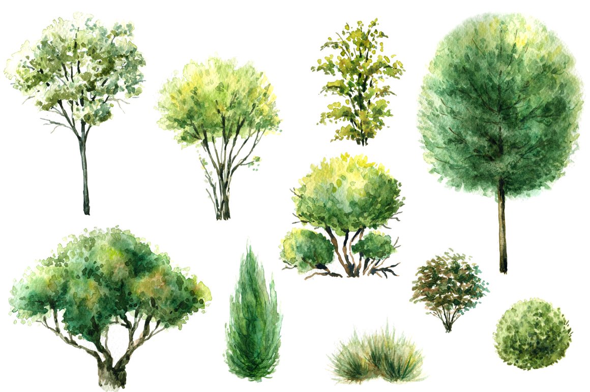 Bunch of trees that are painted in watercolor.