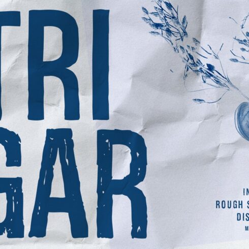 Trigar Rough Sans Serif Display Font cover image.