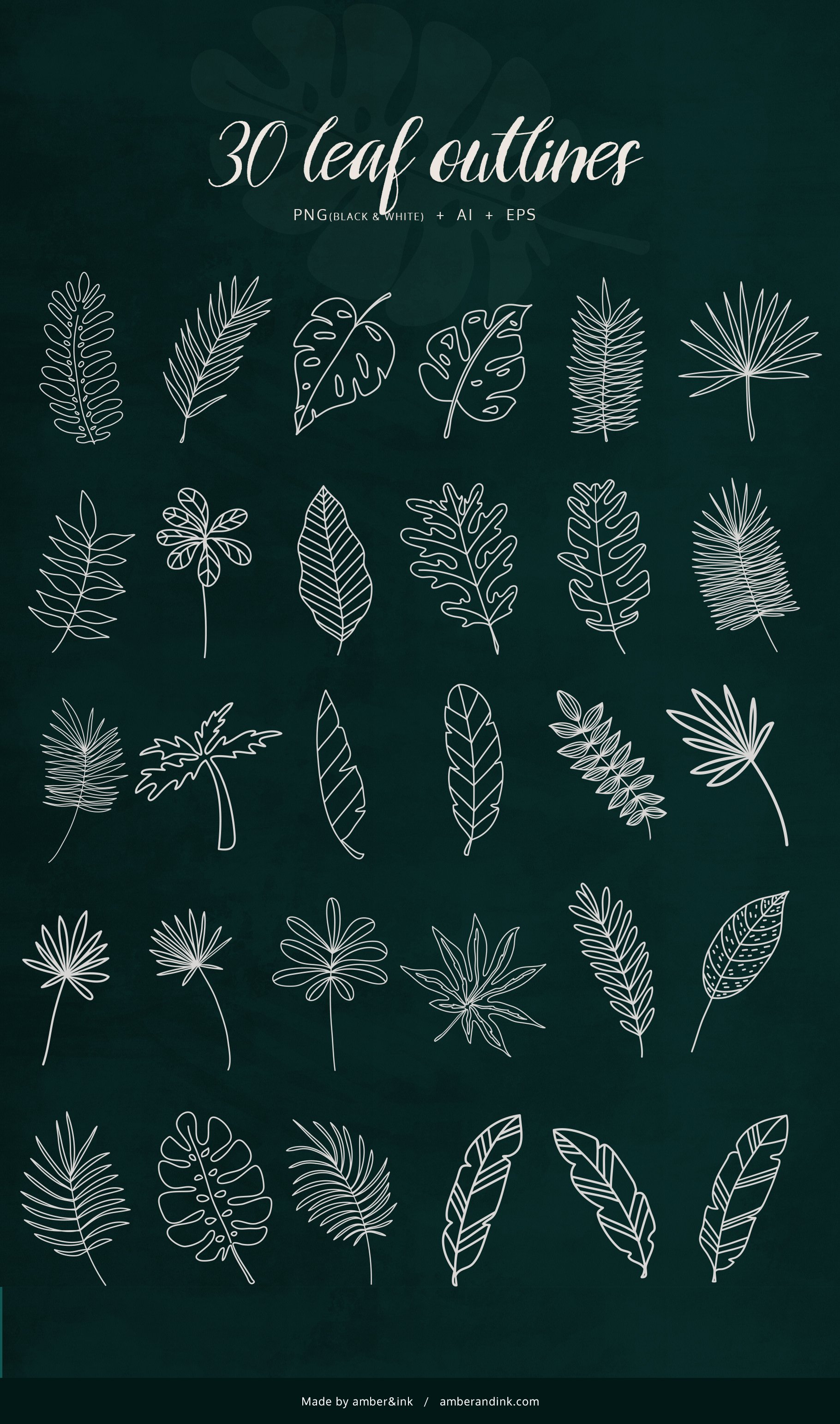 Tropical Leaves & Patterns preview image.