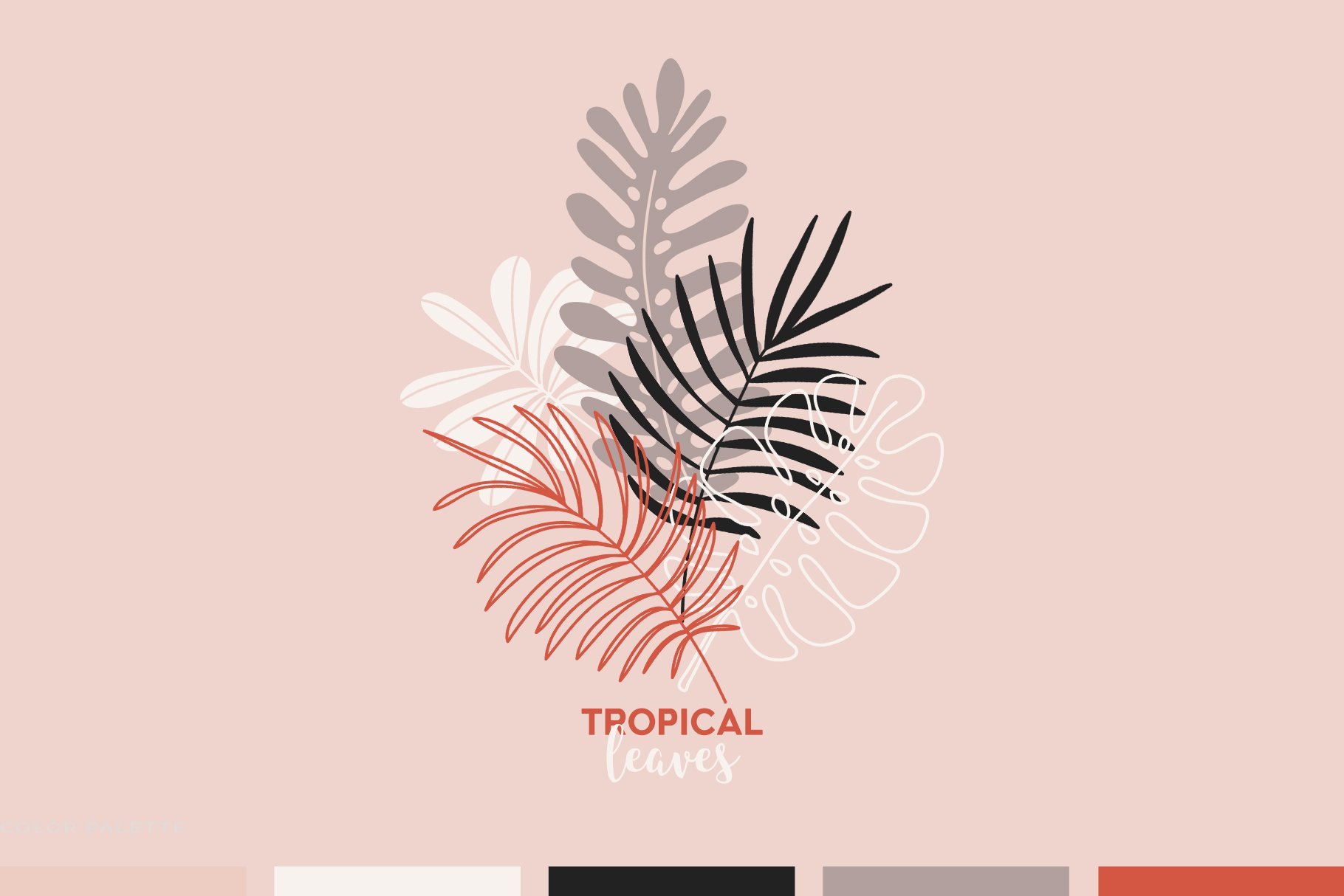Tropical plant with a pink background.