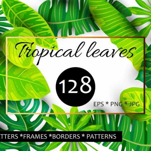 Vector tropical leaves cover image.
