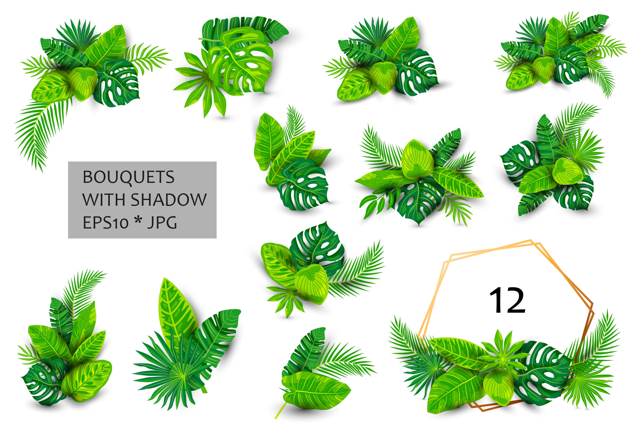 Set of tropical leaves with shadow.