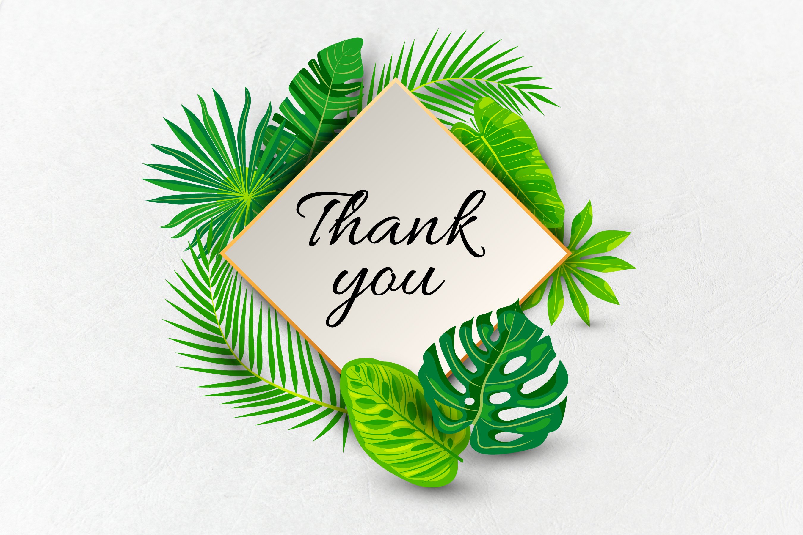 Thank you card surrounded by tropical leaves.