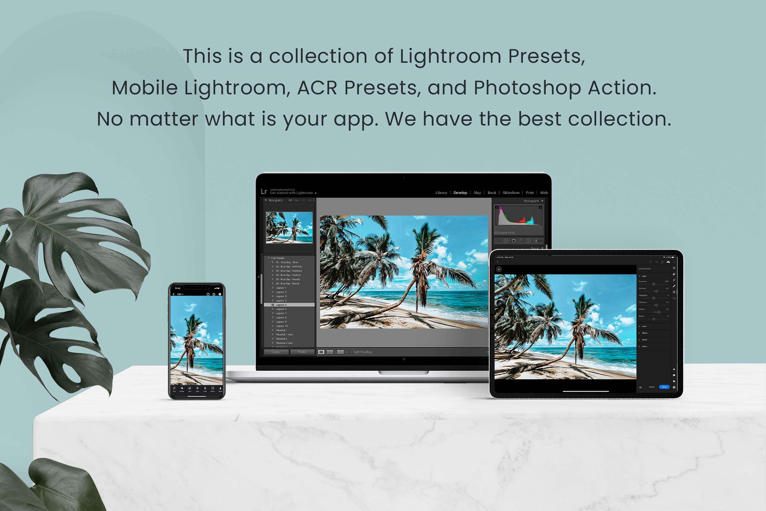 Tropical Lightroom Presets Desktoppreview image.