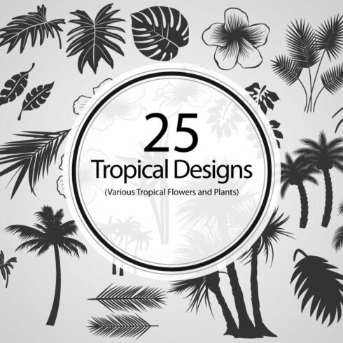 25 Tropical Designs (Vector) cover image.
