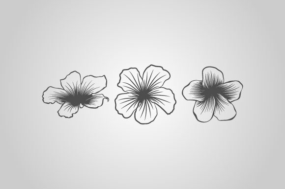 Three black flowers on a white background.