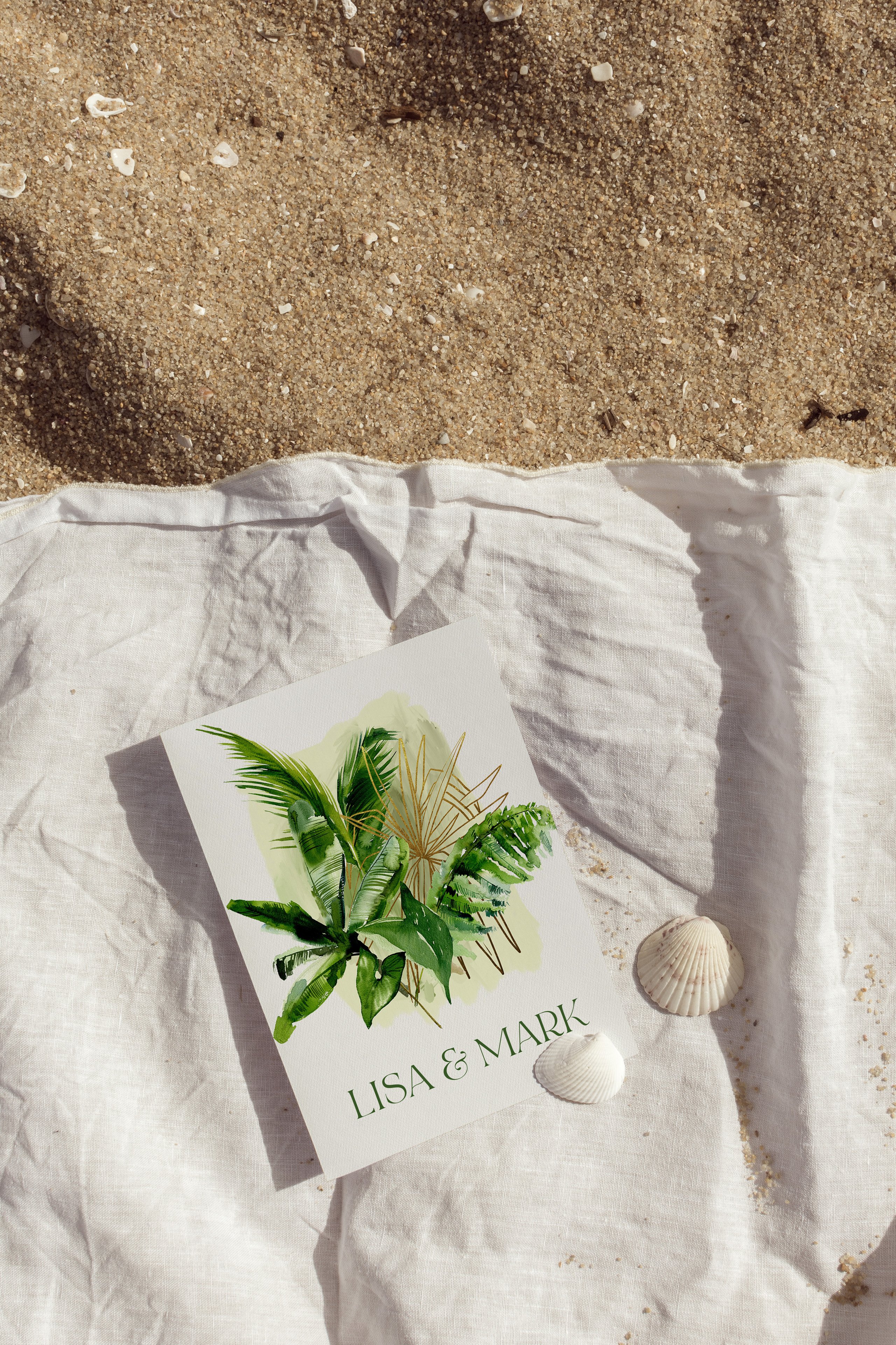 Picture of a plant and a seashell on a towel.