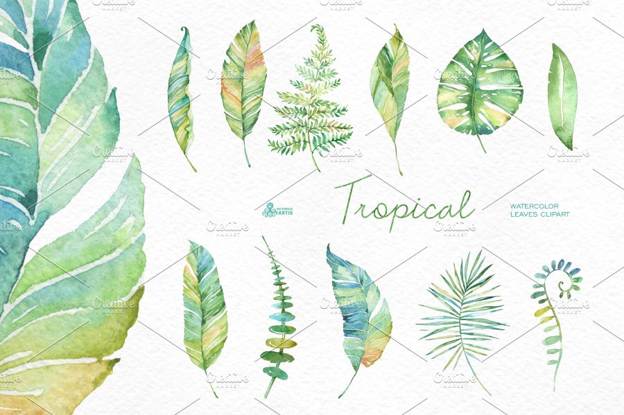 Tropical watercolor leaves preview image.