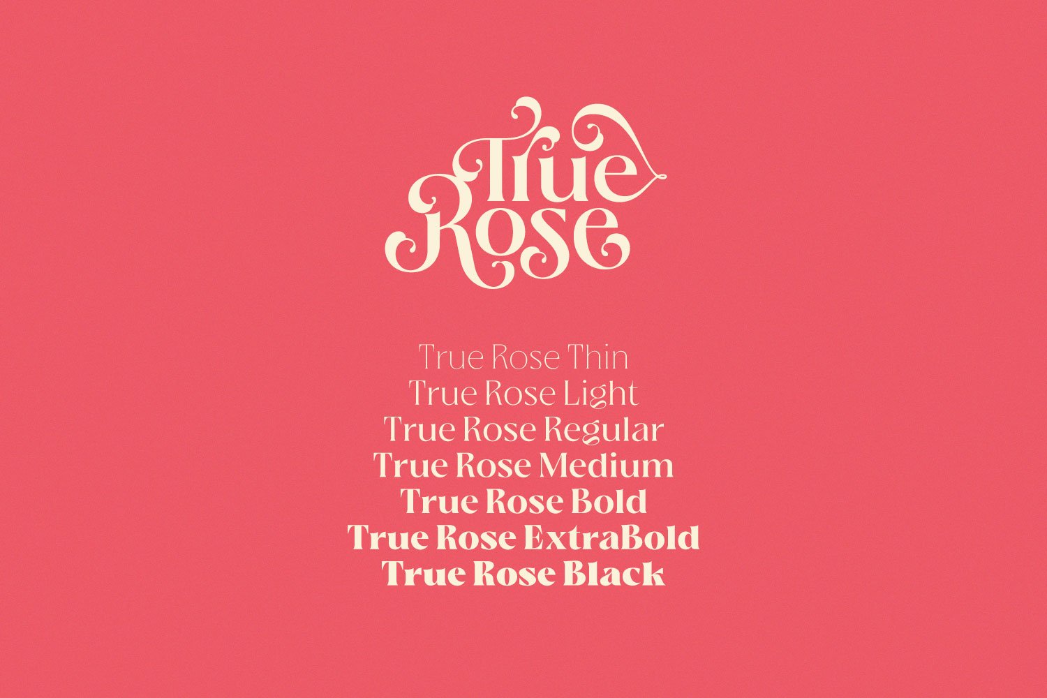 true rose vintage decorative serif family 865