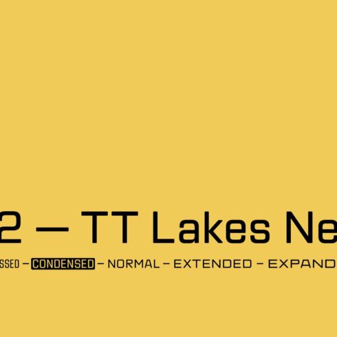 TT Lakes Neue Condensed: 60% off! cover image.