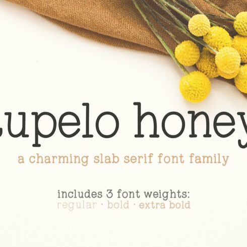 Tupelo Honey | A Charming Slab Serif cover image.