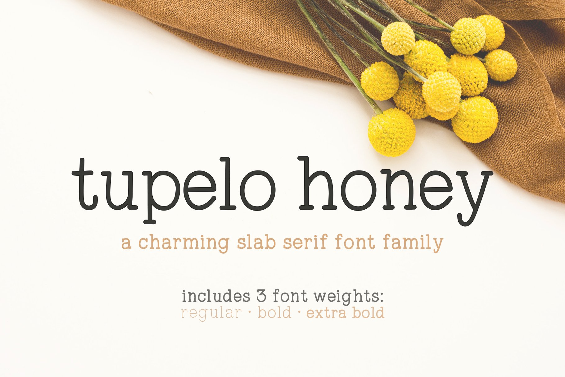 Tupelo Honey | A Charming Slab Serif cover image.