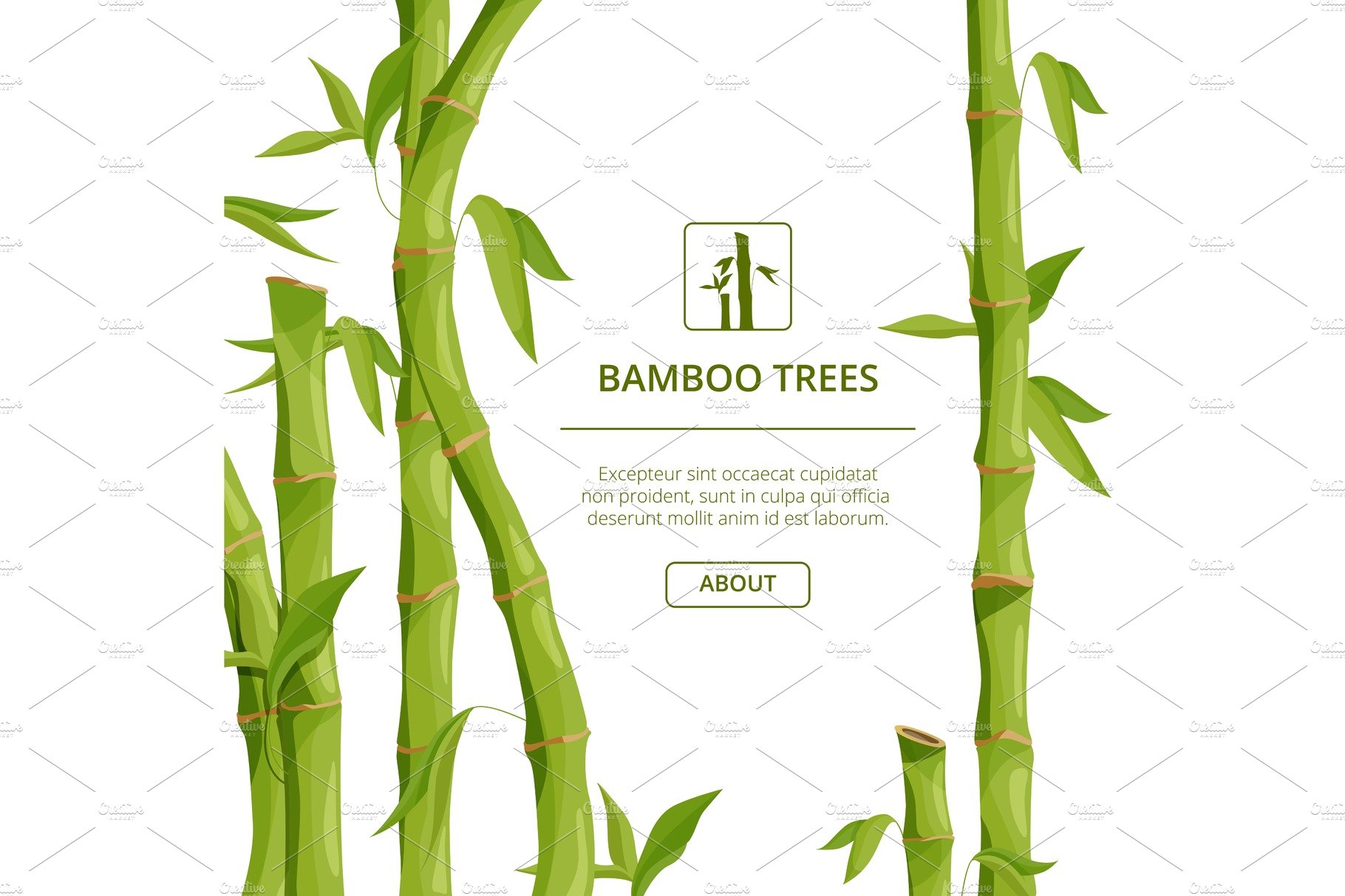 Bamboo tree with a white background.