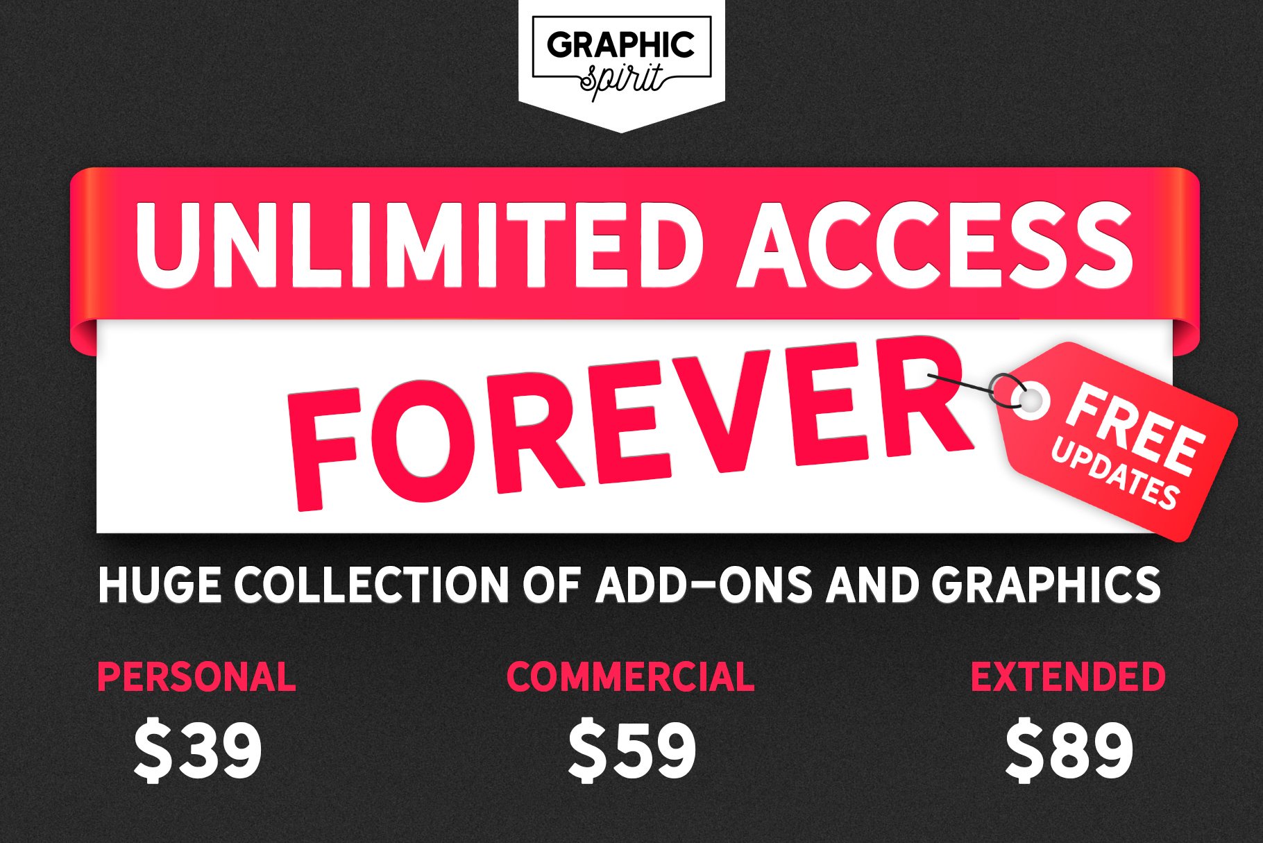 UNLIMITED ACCESS + FREE UPDATEScover image.