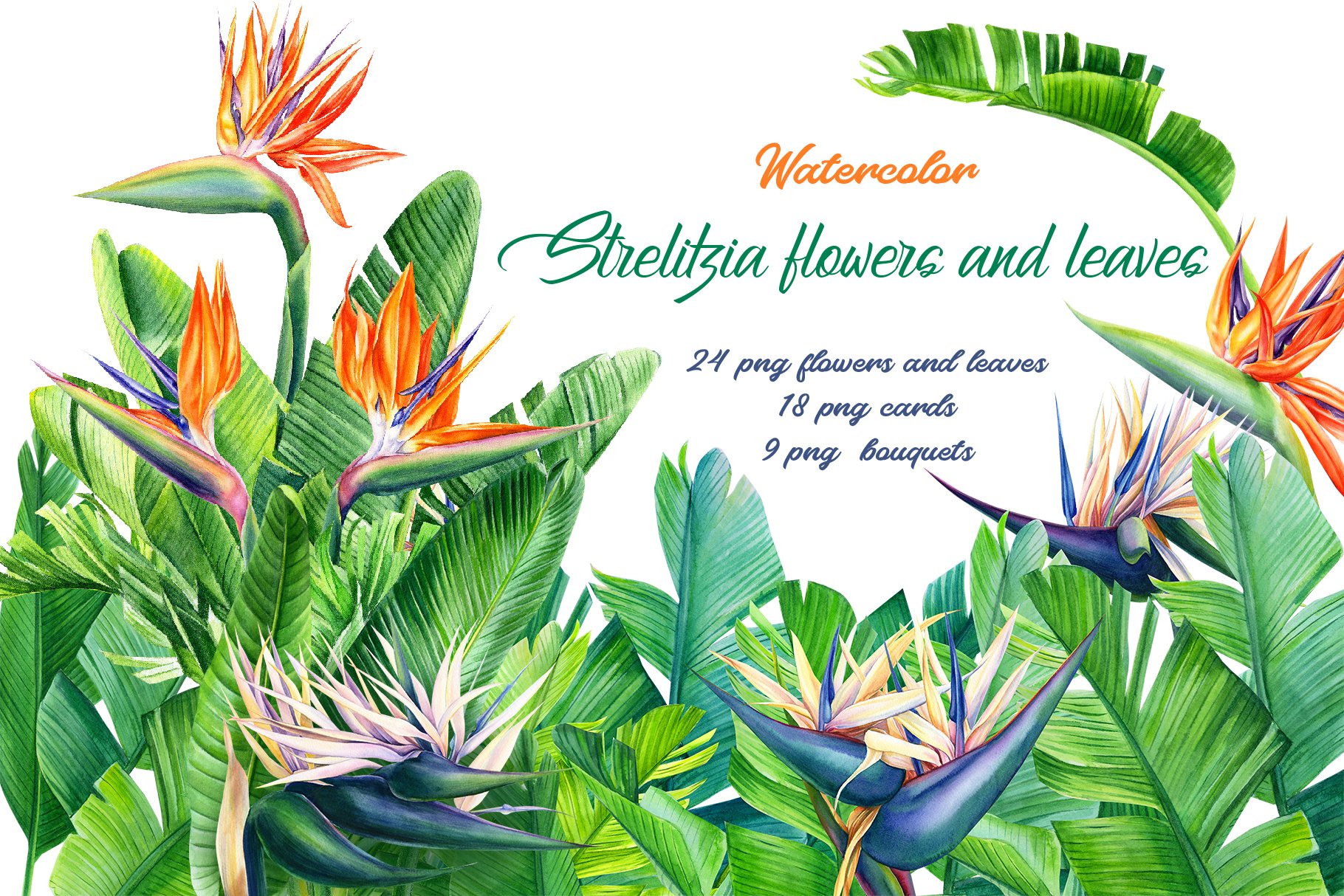 Watercolor painting of tropical flowers and leaves.