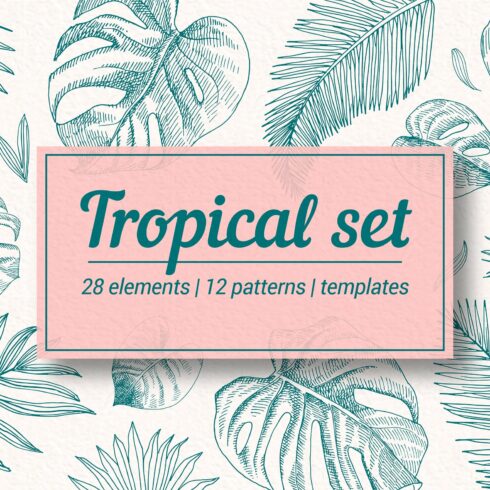 Tropical Leaves Set cover image.