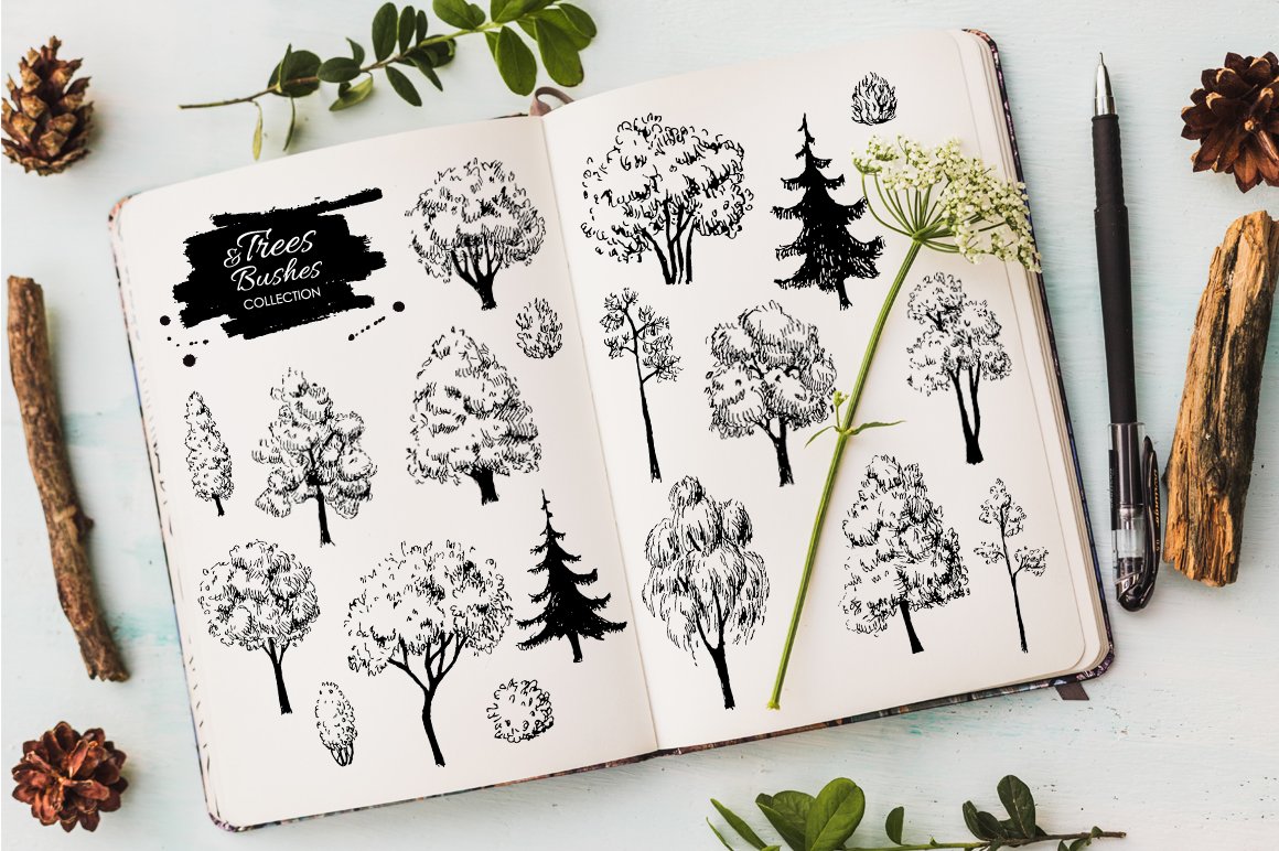 Sketch Set of Trees and Bushes. cover image.