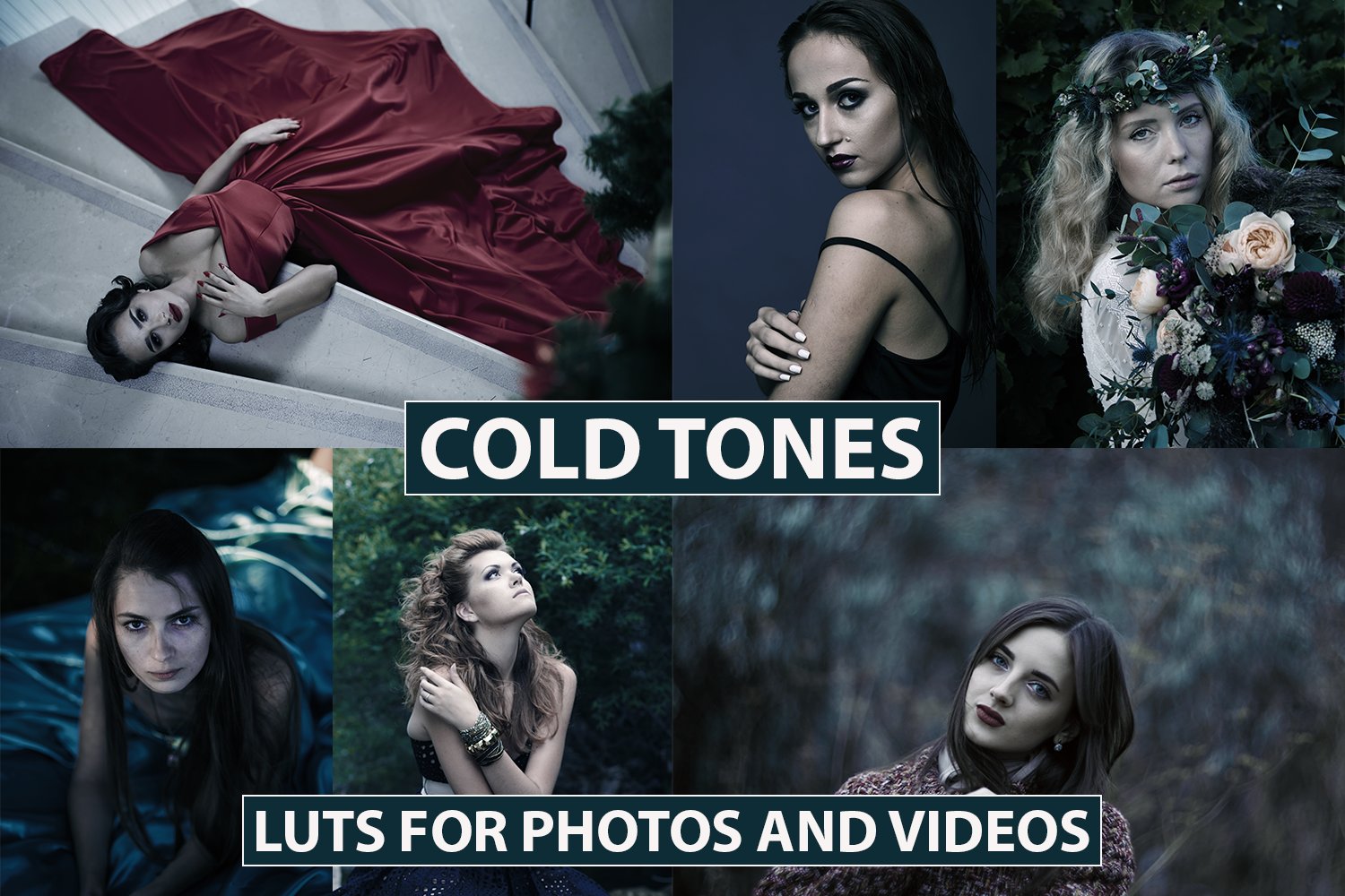 Film Cold LUTS for Photos & Videoscover image.