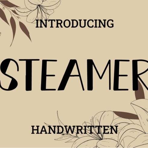 Steamer cover image.