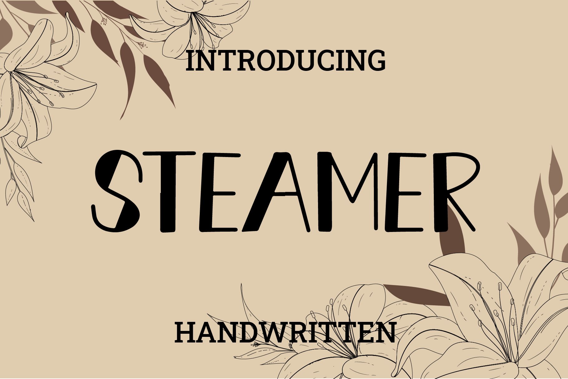 Steamer cover image.