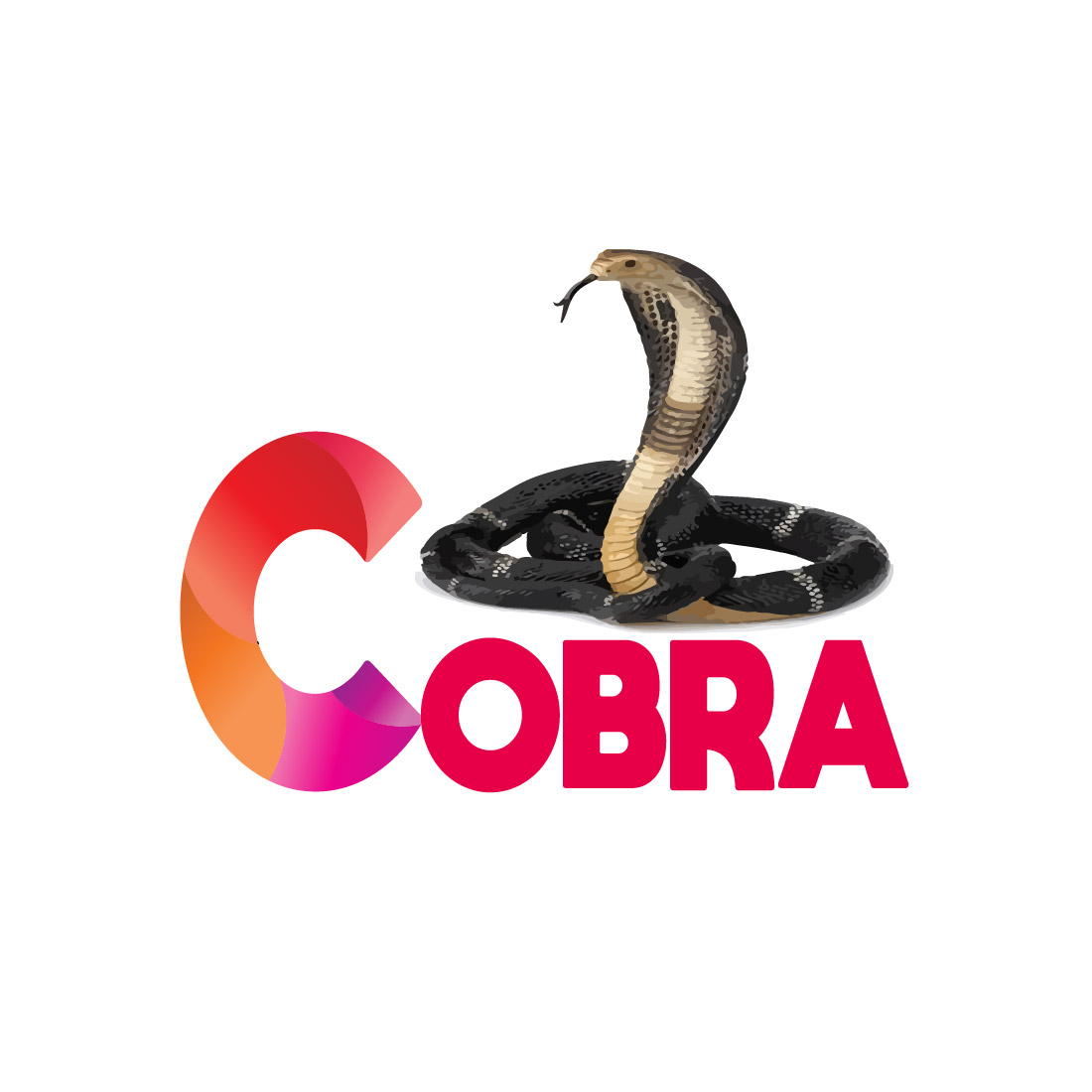 cobra cover image.