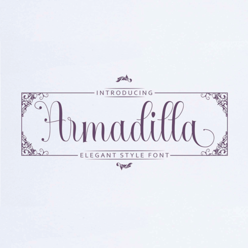 Armadilla cover image.