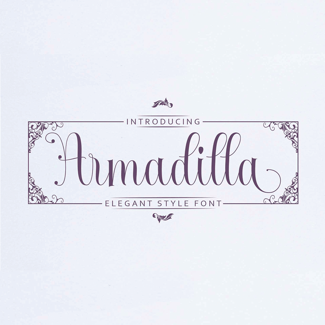 Armadilla cover image.