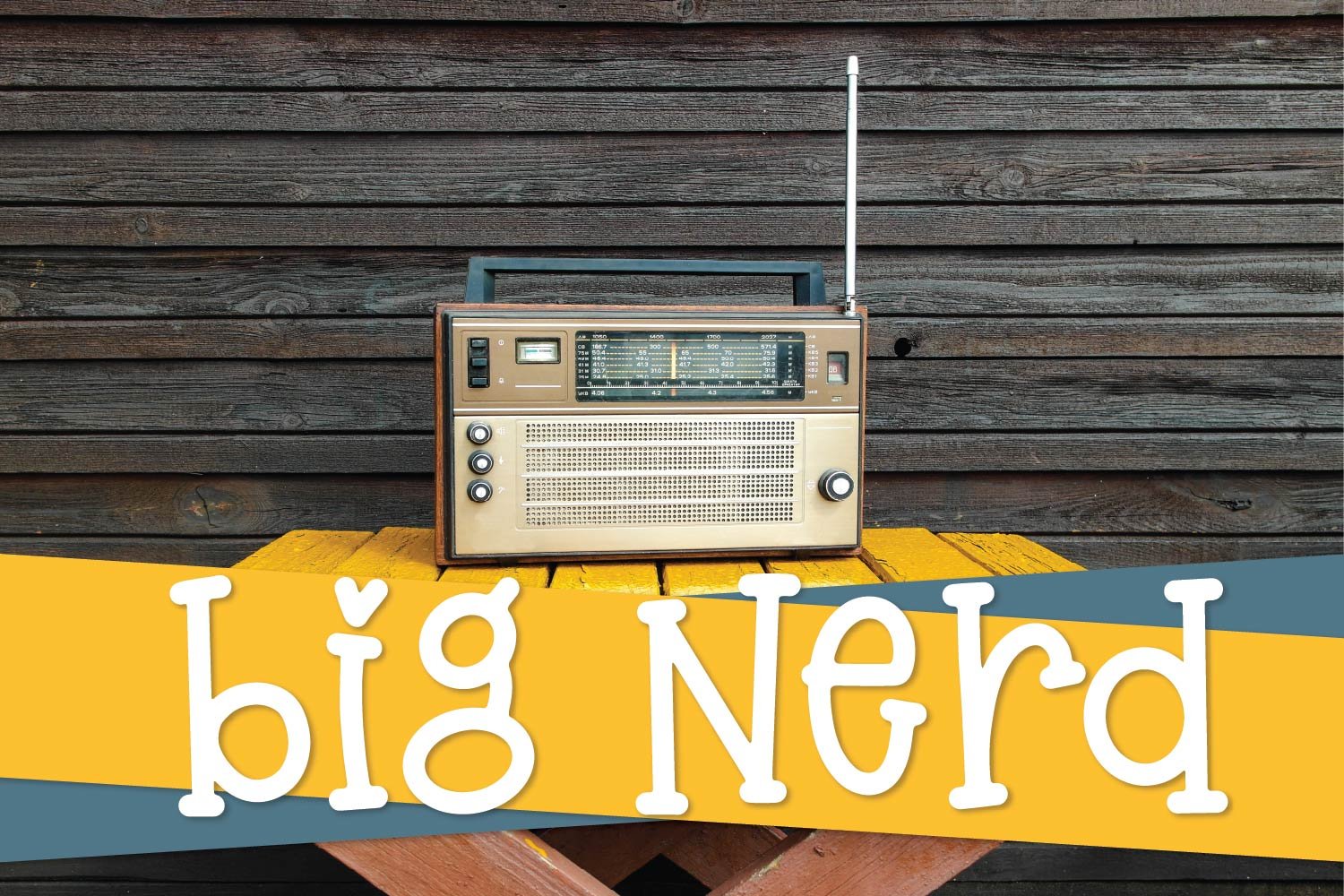 Big Nerd - A Fun Hand Lettered Serif cover image.