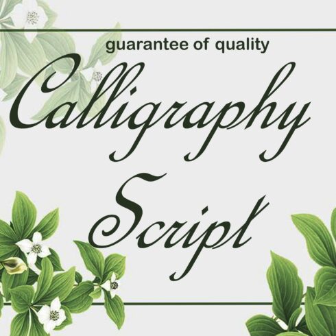 Calligraphy Script Font cover image.