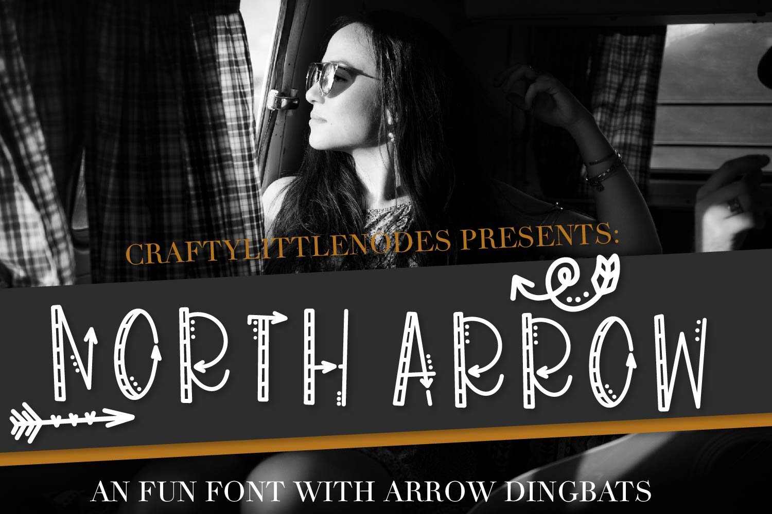 North Arrow - Arrow Font & Dingbat cover image.