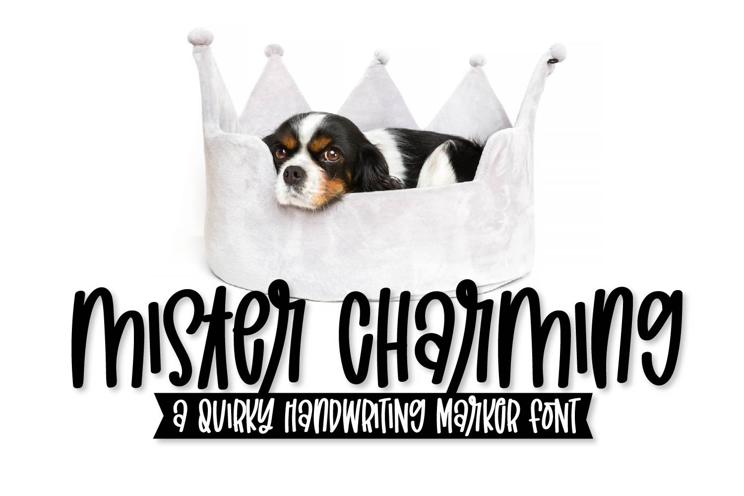 Mister Charming - A Quirky Font cover image.