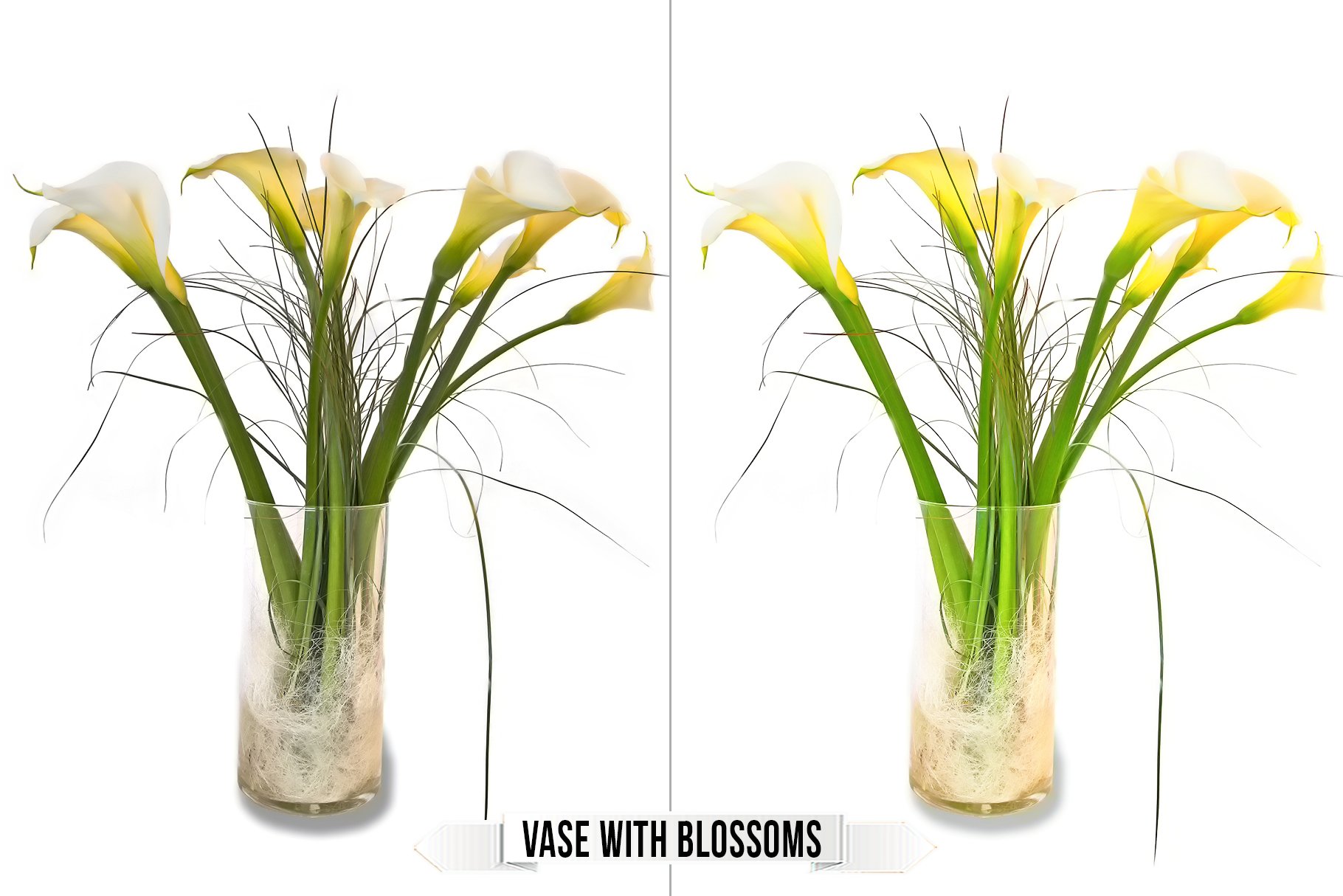 vase with blossoms 250