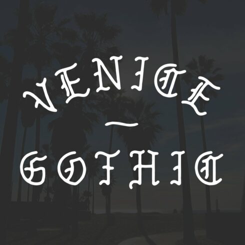 Venice Gothic - A Monoline Typeface cover image.