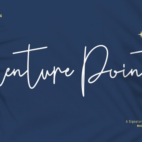 Venture Point Script Font cover image.