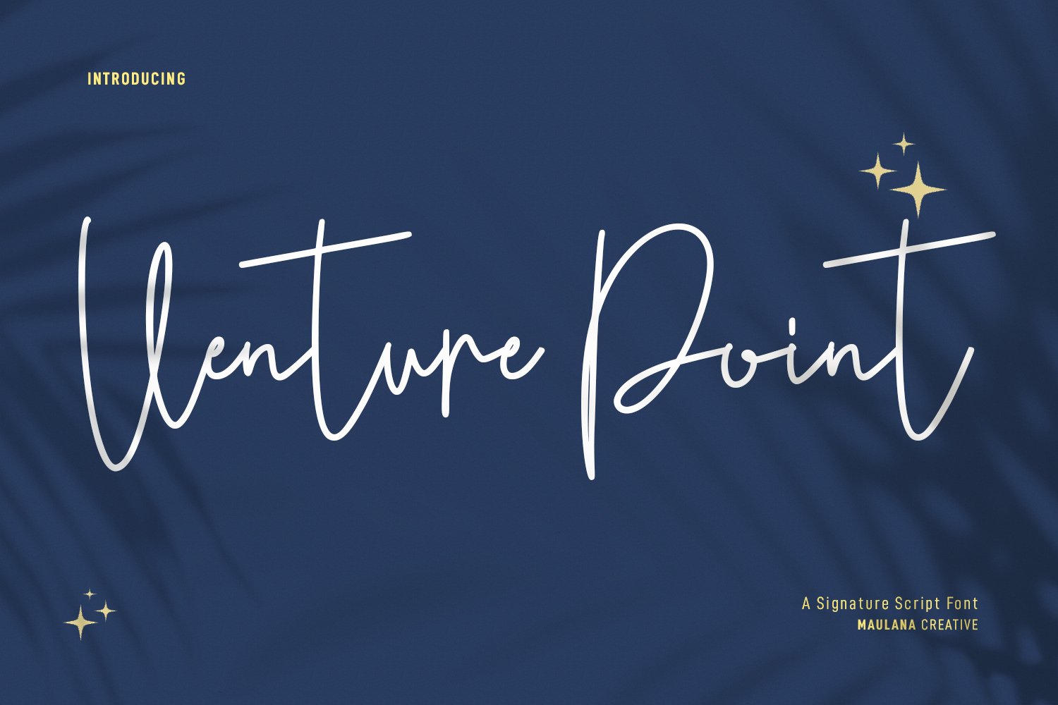 Venture Point Script Font cover image.