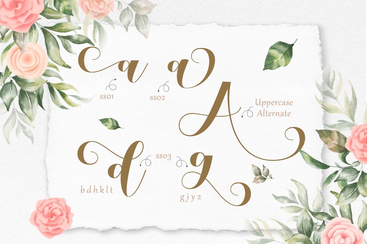 verali script fonts 28329 834