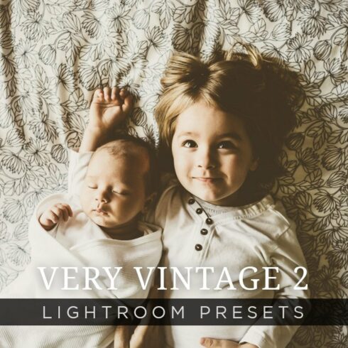 Very Vintage Lightroom Presets Vol 2cover image.