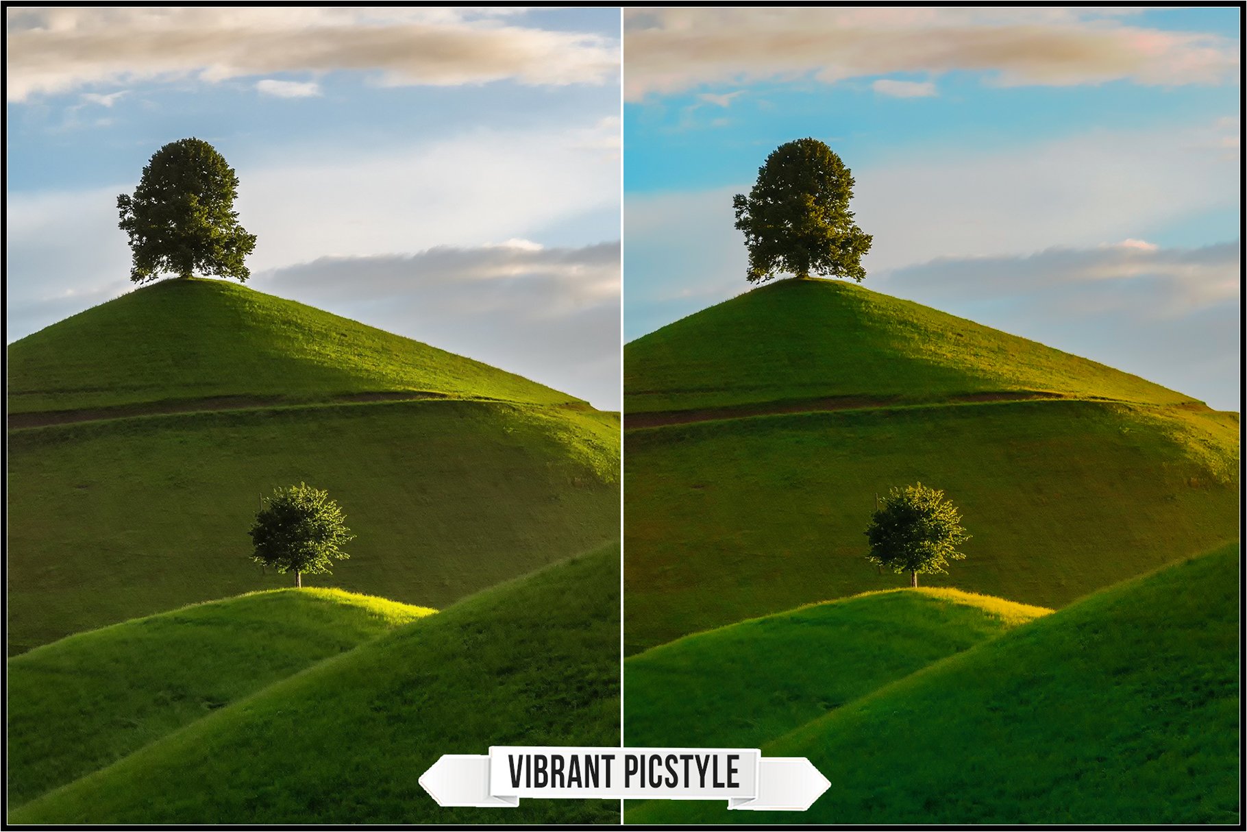 vibrant picstyle 636