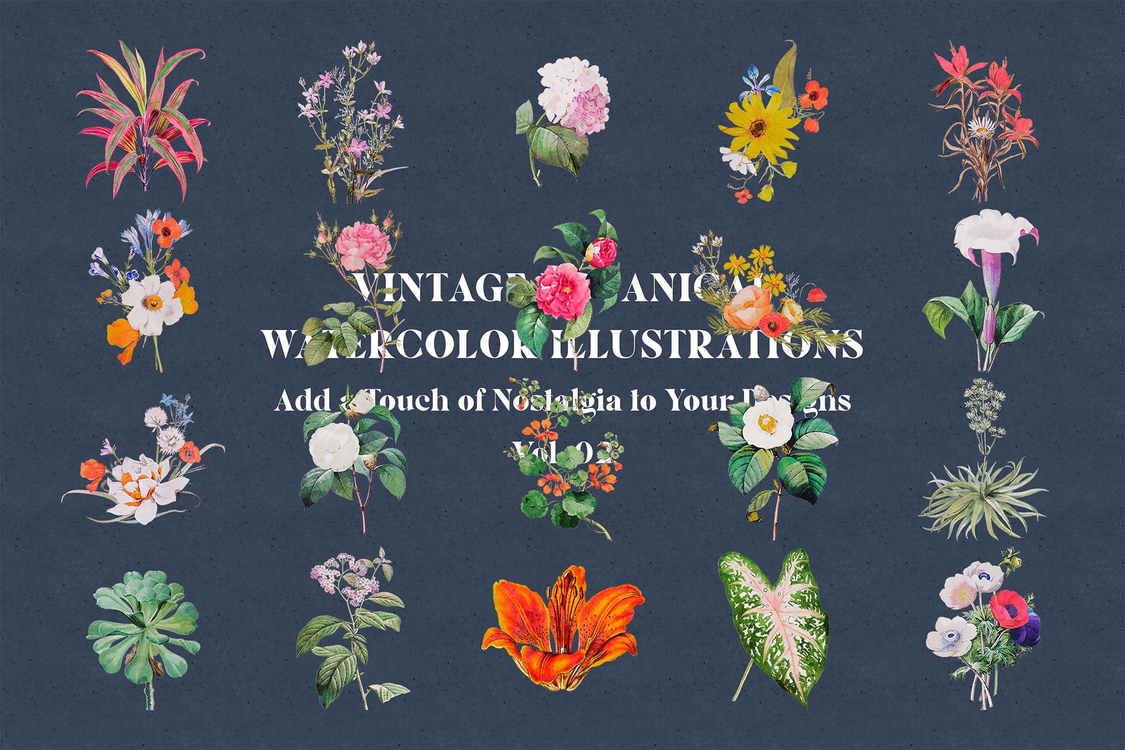 vintage botanical watercolor illustrations add a touch of nostalgia to your designs 6 145