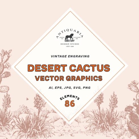Vintage Cactus Vector Graphics cover image.