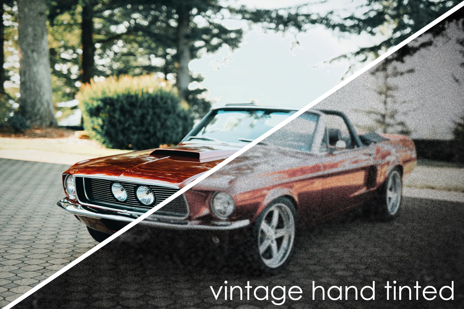 vintage hand tinted car 295