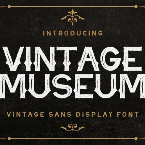 Vintage Museum - Vintage Sans Font cover image.