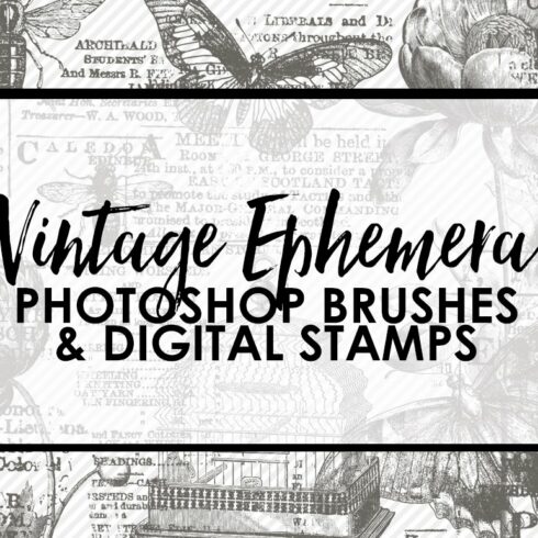Vintage Ephemera PS Brushes & Stampscover image.