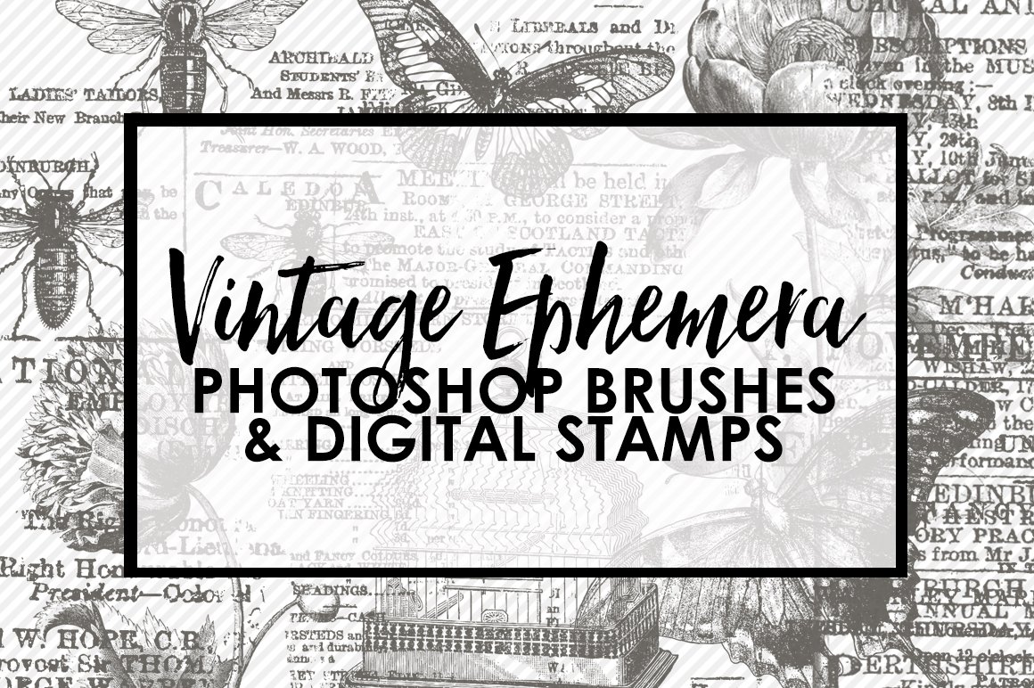 Vintage Ephemera PS Brushes & Stampscover image.