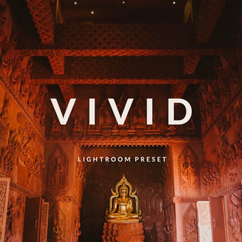 Vivid Lightroom Mobile Presetcover image.