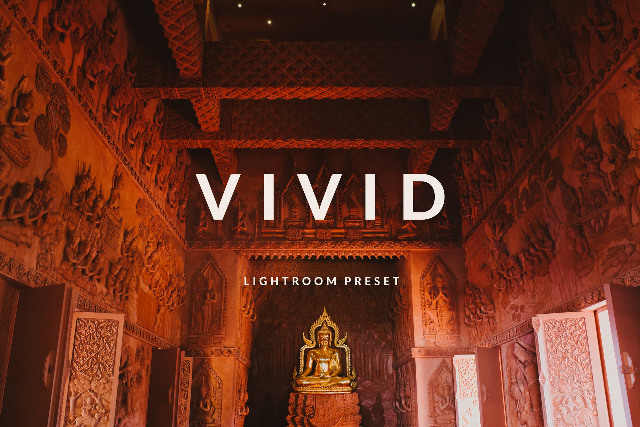 Vivid Lightroom Mobile Presetcover image.