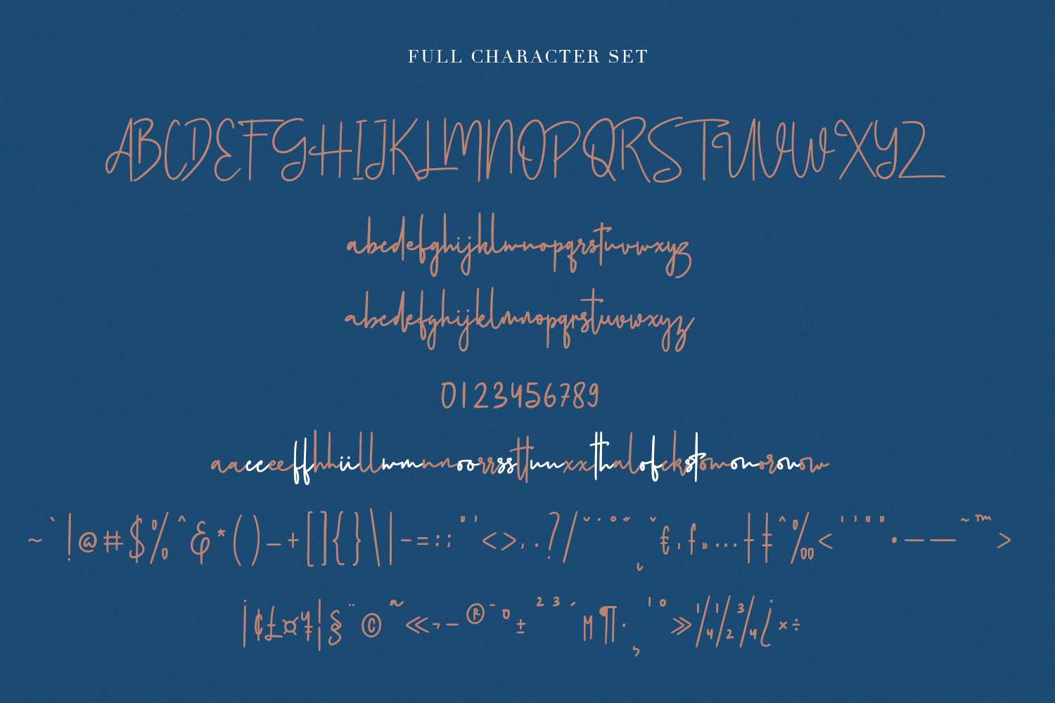 volustion handwritten script6 977