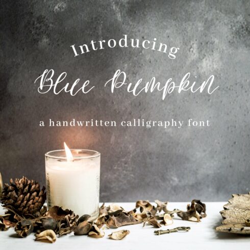Blue Pumpkin Font cover image.