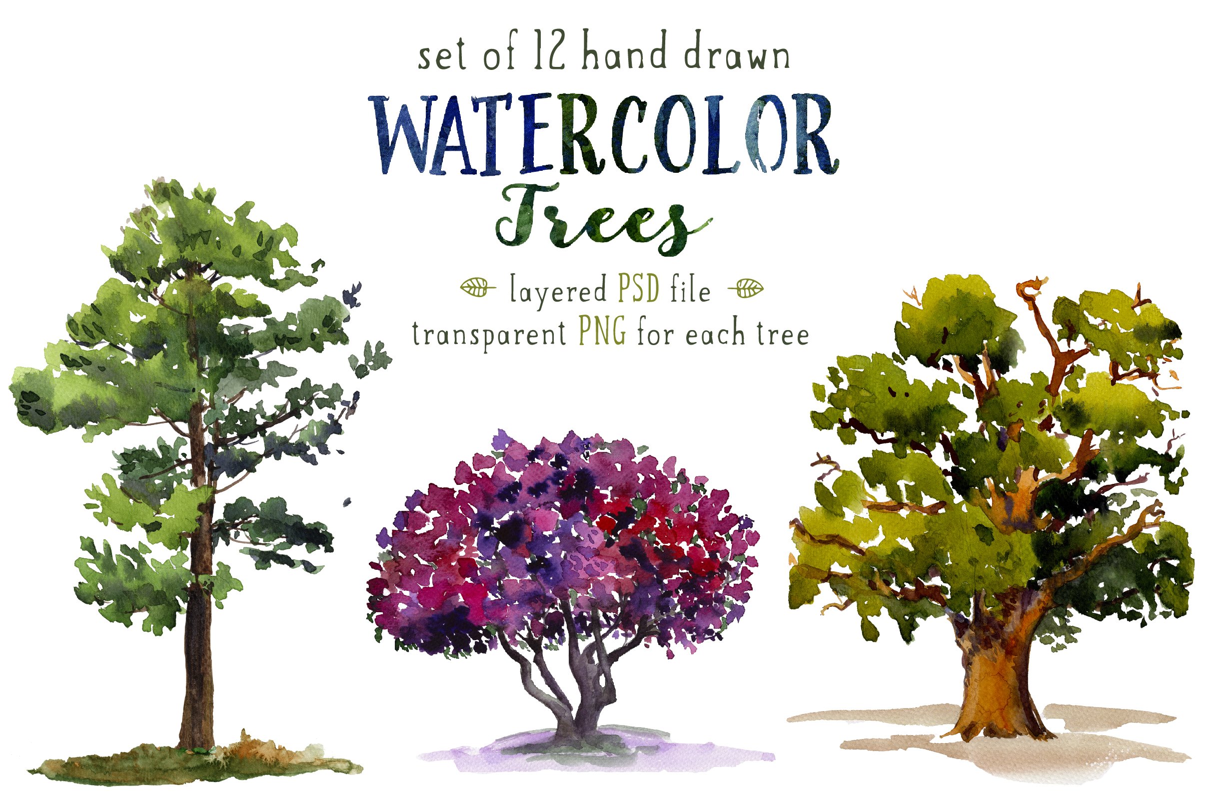 Set of 12 watercolor trees cover image.