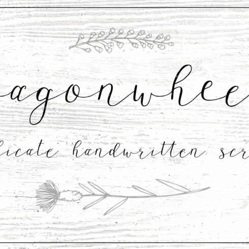 Wagon wheel Script Font cover image.